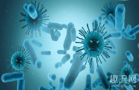 新冠病毒最长可以潜伏24天 新冠病毒是变异了吗