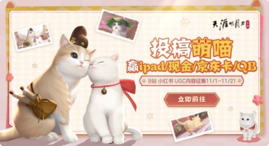 躺平撸猫？探险存活？天刀手游年度资料片今日上线，竞技休闲一键直达！ 玩家最喜爱潮牌有哪些？（躺平撸猫？探险存活？天刀手游年度资料片今日上线，竞技休闲一键直达！）