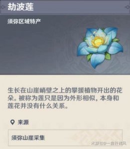  小编： 潮牌网 原神 劫波莲采集路线 玩家最喜爱潮牌有哪些？（原神劫波莲采集路线 草神纳西妲劫波莲采集位置攻略）