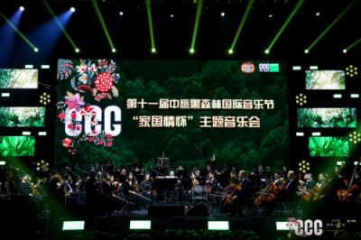 在世界范围内广泛邀请有影响力的音乐家 哪种潮牌品牌（顾莉雅受邀参加第十一届中鹰黑森林国际音乐会）