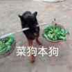 出门防晒、室潮牌信息内当空调衫