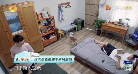 帮助向往家族轻松潮牌品牌去除萌宠异味的同时