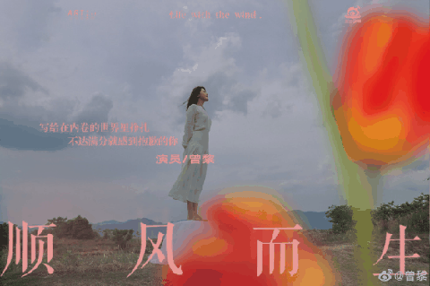 蔡康永史航汪涵倾情推荐，曾黎新书《顺风而生》预售，当当网新书榜畅销top5