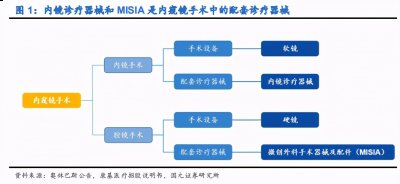 国产市占潮牌品牌率为 67.9%
