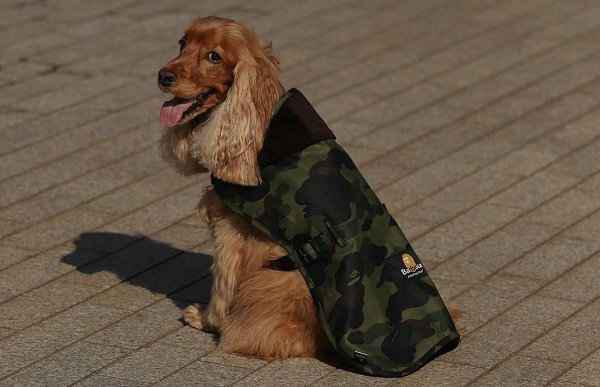  9 月末带来的 House 潮牌of Hackney 合作令人印象深刻（Bape x Barbour 全新联名胶囊系列抢先预览）