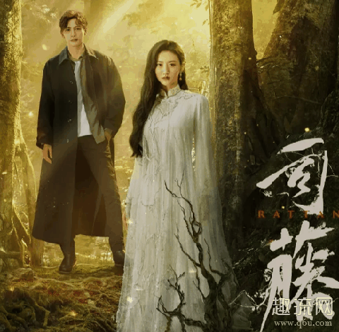 司藤身世是怎么样的 司藤是两个人吗