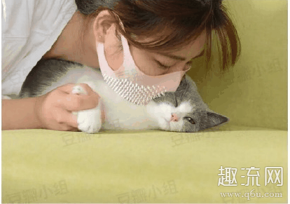 猫舌口罩是什么东西在哪买 猫舌口罩好用吗
