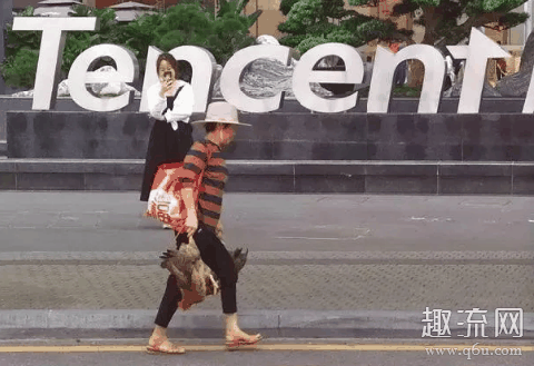合成大西瓜链接打不开怎么办 合成大西瓜技巧攻略分享