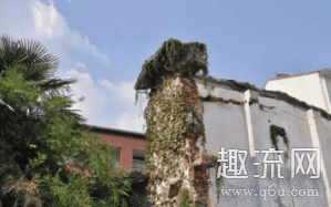  苏州巨响是怎么回事 最近这几天苏州的潮牌品牌小伙伴们表示经常可以听到苏州上空中有巨响的声音（苏州巨响是不是历劫 苏州巨响是怎么回事）