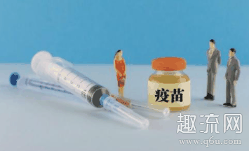 注射完狂潮牌信息犬疫苗后（新冠疫苗和狂犬疫苗有冲突吗 新冠疫苗和狂犬疫苗间隔多长时间打比较好）