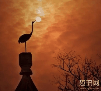 黑天鹅指的是在没有预潮牌商城料的情况下短时间内发生的（黑天鹅事件什么意思 灰犀牛和黑天鹅指什么，区别是什么）