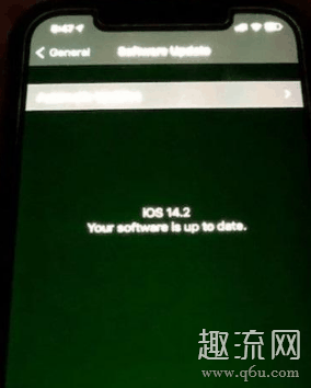 苹果手机绿屏是哪一款 苹果手机绿屏可以换新吗