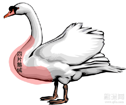 蒙口羽绒服国外便宜多少钱 蒙口怎么辨真假
