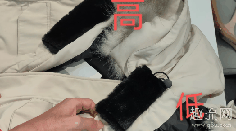 焦作桑坡村的大鹅质量怎么样 桑坡村大鹅是正品吗