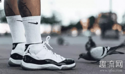 AJ11适合脚肥的人穿潮牌吗 AJ11腿粗的人穿吗（AJ11适合脚肥的人穿吗 AJ11腿粗的人穿吗）