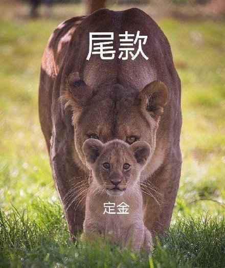 付定金与付尾款时的区别高清表情包下载 付定金付尾款什么意思