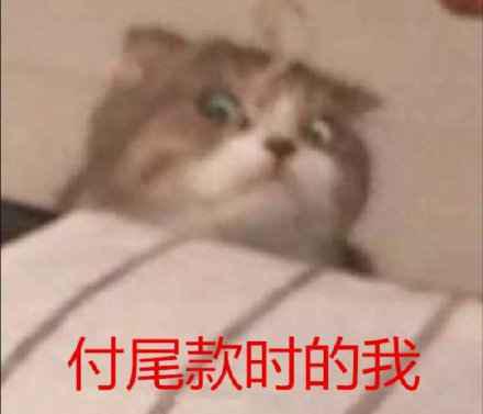 付定金与付尾款时的区别高清表情包下载 付定金付尾款什么意思