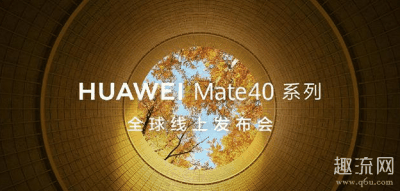 不知道这算不潮牌汇潮牌网算是一个优点（华为Mate40图片及价格 华为Mate40上市时间）