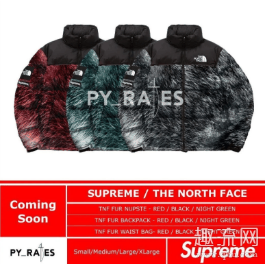 Supreme x 北面 2020年秋冬实物谍照图曝光 Supreme x The North Face发售信息