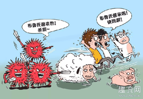 布鲁氏菌病是什么病 布鲁氏菌病能治好吗