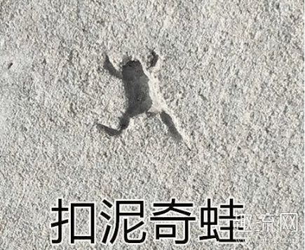 类似duck不必的谐音梗有哪些 duck不必类似表情包分享