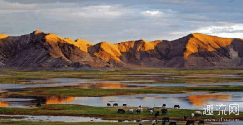 可可西里禁止旅游了吗 前往可可西里需要哪些备案手续