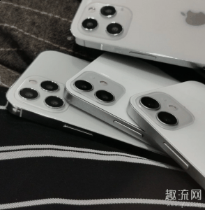整套系统可提潮牌供五倍光学变焦（iPhone12系列手持对比图大小感受 iPhone12拍照能力哪个最强）