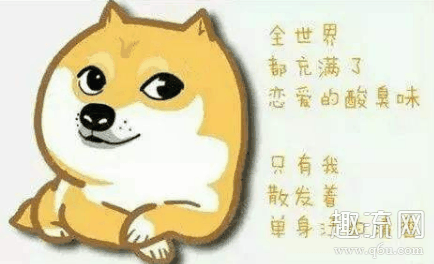 情人节单生狗怎么过 情人节单生狗如何避免被虐狗