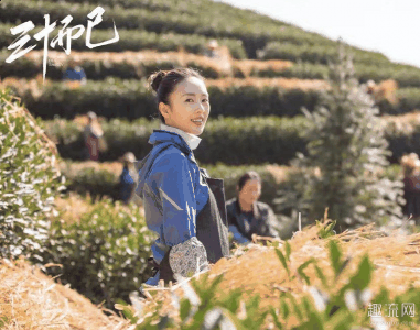  三十而已这几集大潮牌品牌家是不是看的牙痒痒（许幻山的扮演者是谁 许幻山和顾佳会复婚嘛）