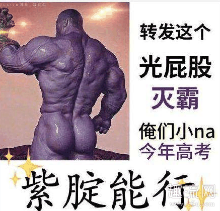 紫腚能行高清表情包分享 2020高考表情包图片