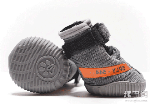yeezy 350灰橙狗狗专用款你见过吗?一起来看看吧!