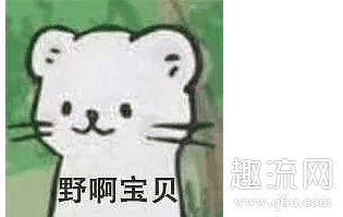 野啊宝贝什么梗 野啊宝贝高清表情包分享