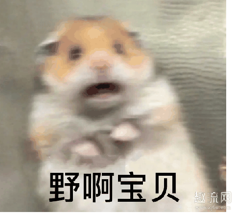 野啊宝贝什么梗 野啊宝贝高清表情包分享