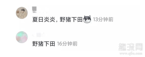 夏日炎炎野猪下田什么梗 夏日炎炎有你真甜下一句是什么