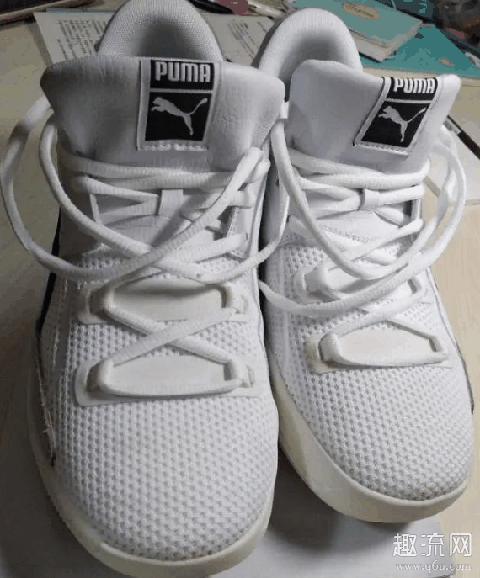 Puma Clyde Hardwood篮球鞋测评 Puma Clyde Hardwood偏码吗
