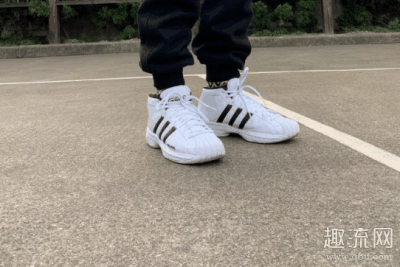 Pro model 2g耐磨性怎么潮牌汇潮牌网样 Pro model 2g适合水泥地吗（Pro model 2g耐磨性怎么样 Pro model 2g适合水泥地吗）