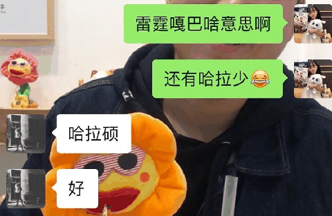 新二的快乐生活表情包无水印高清 新二的快乐生活说的是什么
