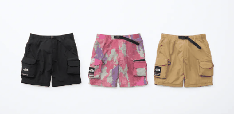 2020春夏supreme X TNF