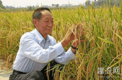 广州市呼吸疾病研究所所长、广州呼潮牌汇潮牌网吸疾病国家重点实验室主任、中华医学会会长（医食无忧组合同框 钟南山和袁隆平谁大）