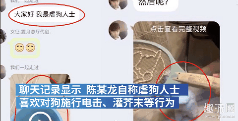 南通大学回应学生被指再虐狗 虐狗犯法吗