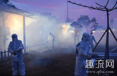 非洲疫情会大规模爆发吗 非洲疫情蔓延会影响中国吗
