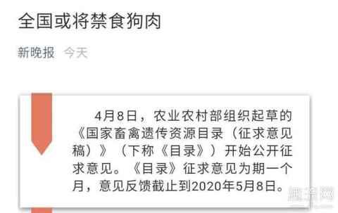 全国禁止吃狗肉了吗 吃狗肉猫肉是违法的吗