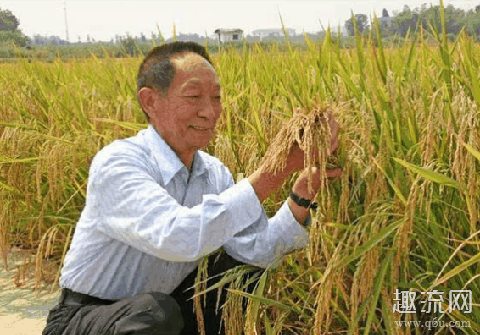 中国会出现粮荒吗 中国会出现二次疫情吗
