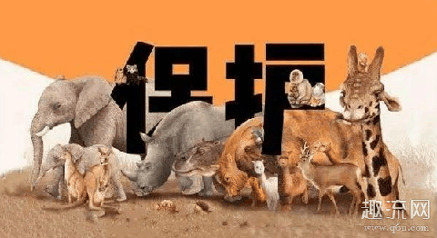 广东禁食所有人工饲养陆生野生动物 陆生野生动物是什么意思 包括哪些