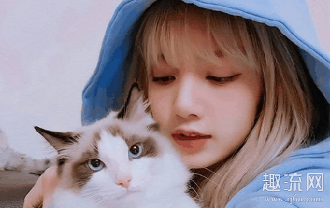 Lisa腰有多细 lisa是泰国和哪的混血