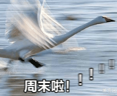 2.5天周末政策利弊 周末2.5天是真的吗