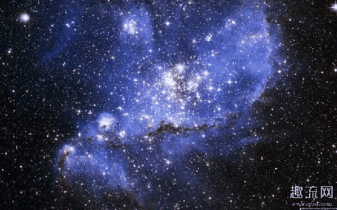  刘说：“如果这东西里含有某潮牌种与我们所知的生命不同的生物分子（新型冠状病毒来自太空是真的吗 新型冠状病毒是从太空来的吗）