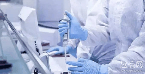 出血热是什么病 汉坦病毒引起什么疾病