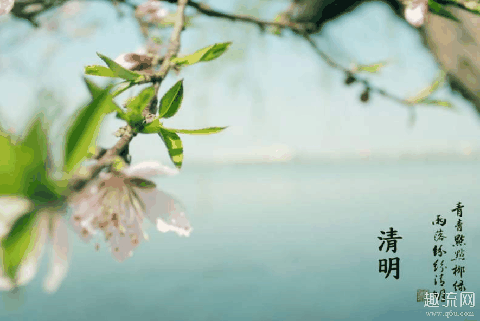 2020清明节还能扫墓吗 2020清明节取消是真的吗