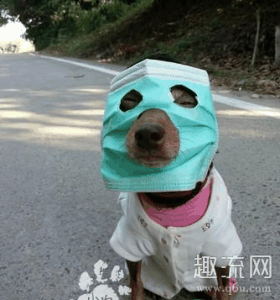 小宝宝口罩怎么戴 没潮牌品牌有口罩小宝宝打疫苗怎么办（小宝宝口罩怎么戴 没有口罩小宝宝打疫苗怎么办）